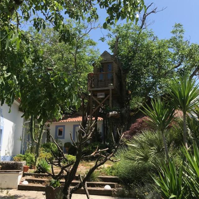 Casa Oliva - Casa Da Serra Porto de Mós Esterno foto