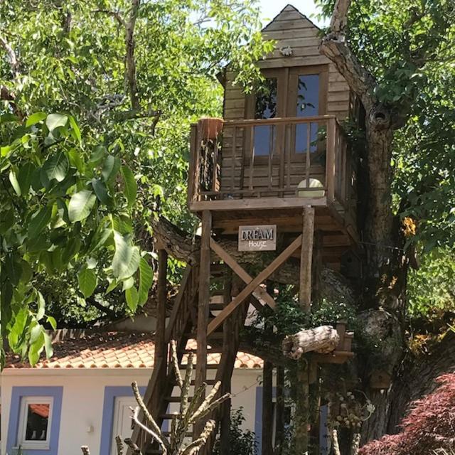 Casa Oliva - Casa Da Serra Porto de Mós Esterno foto