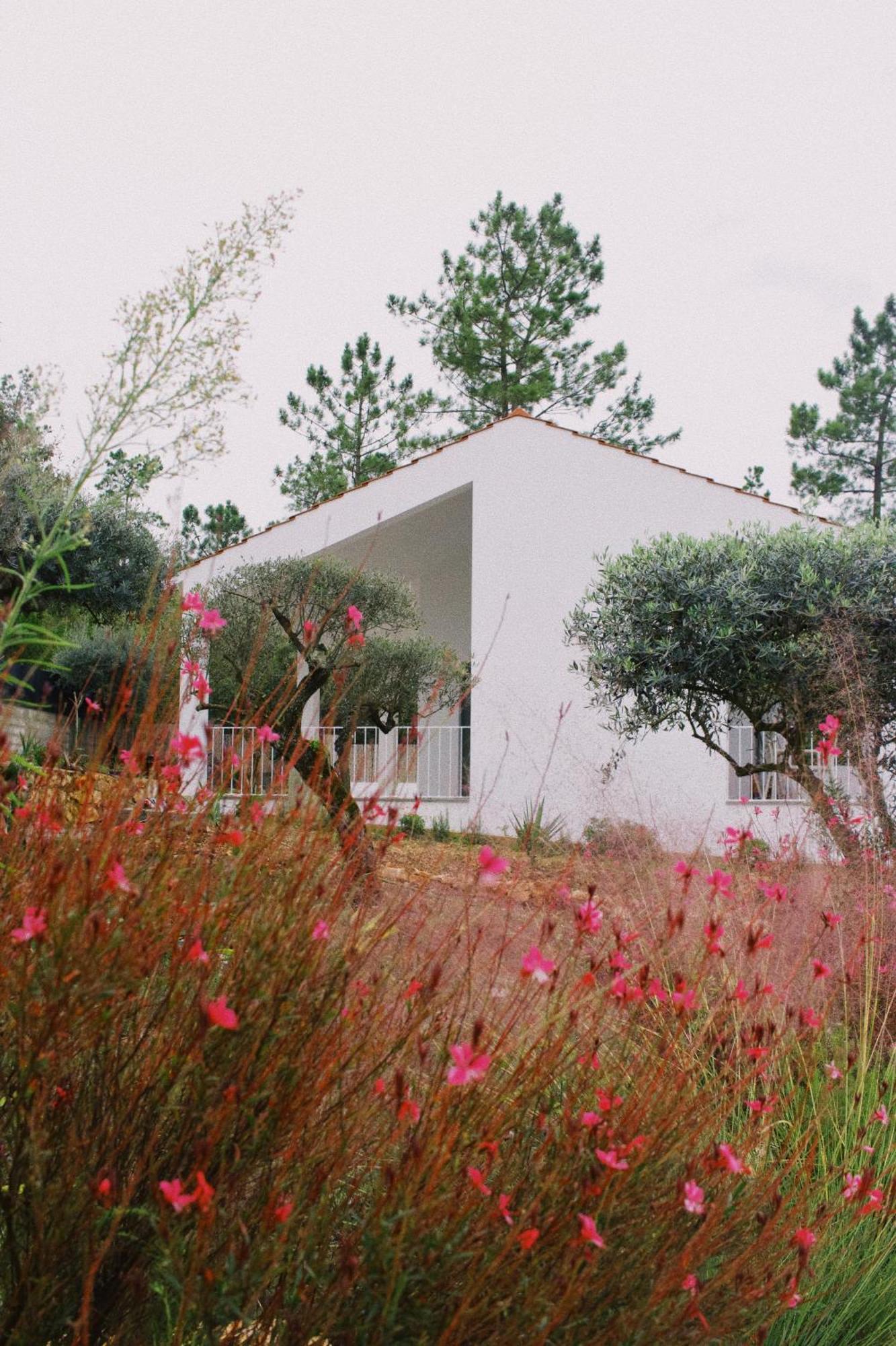 Casa Oliva - Casa Da Serra Porto de Mós Esterno foto